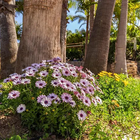 Beautiful In Holiday home Alhaurin de la Torre
